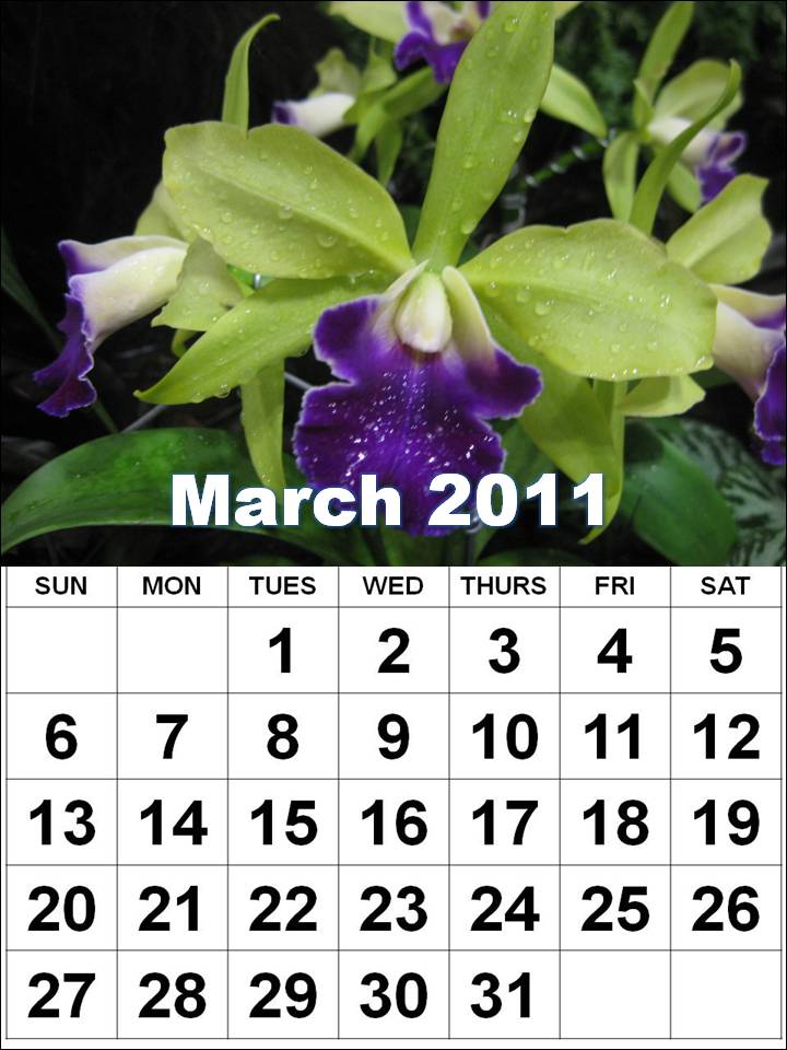2011 Calendar Of March. hair March 2011 Calendar With