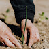 Modern Agriculture 