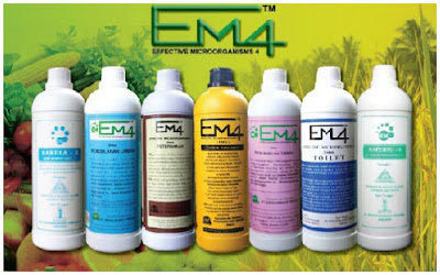  ialah suatu cairan yang berwarna kecoklatan dan beraroma anggun asam  Cara Penggunaan dan Manfaat EM-4 Untuk Menambah Organisme Baik Dalam Tanah