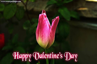 valentines day images