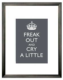 Freak Out and Cry a Little poster
