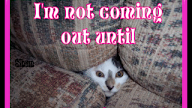 Humorous Quotes About Hard Work