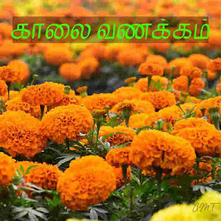 tamil good morning quotes