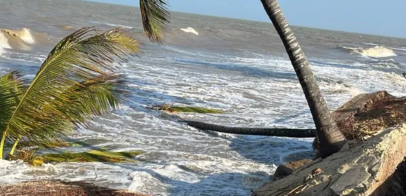 Maré avança, derruba coqueiros e destrói calçadão em orla de praia na Bahia