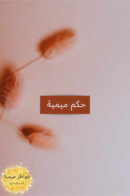 حكم ميمية الجزء 3