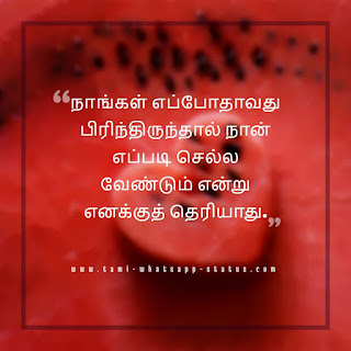 love kadhal kavithai