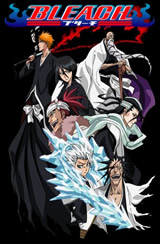 Bleach 357 Sub Español Online