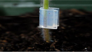 http://www.jlgreenhousesupplies.com/product/plant-grafting-clips/plant-grafting-clips.html