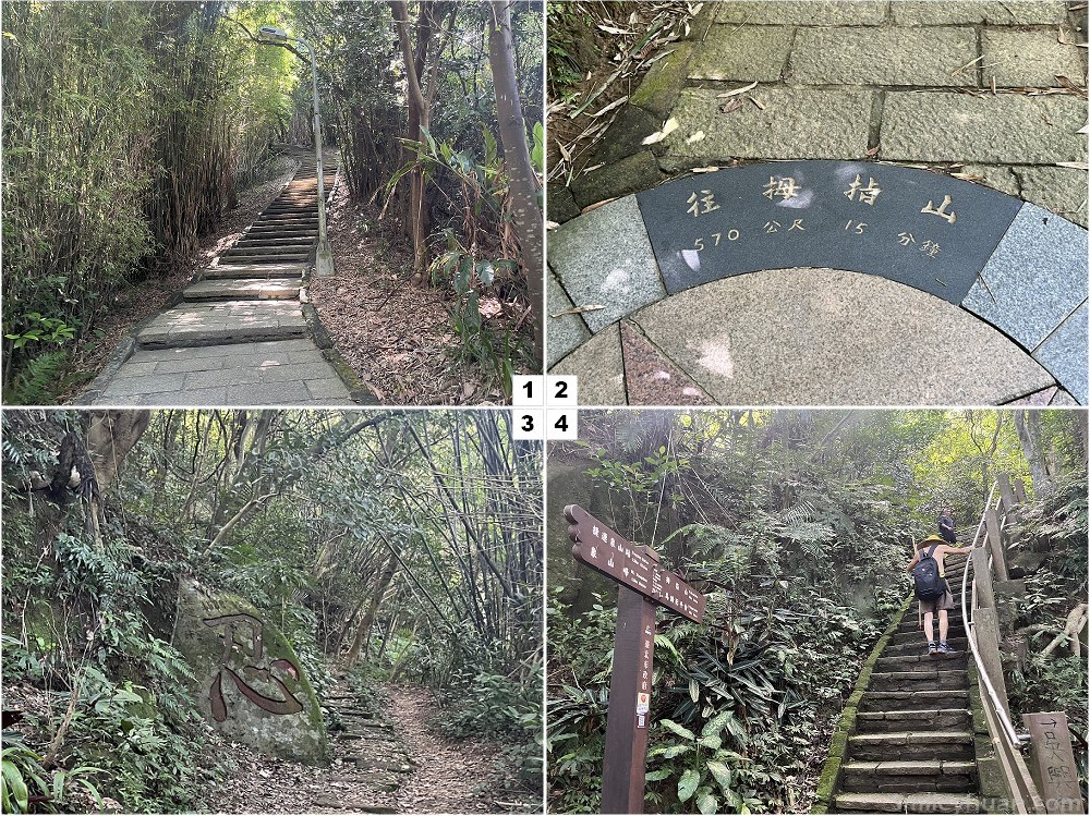 南港山縱走親山步道