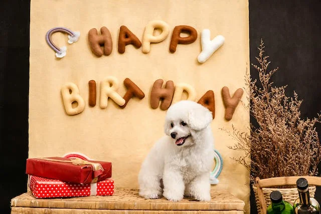 Happy Birthday wishes for dog