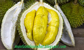 manfaat khasiat durian