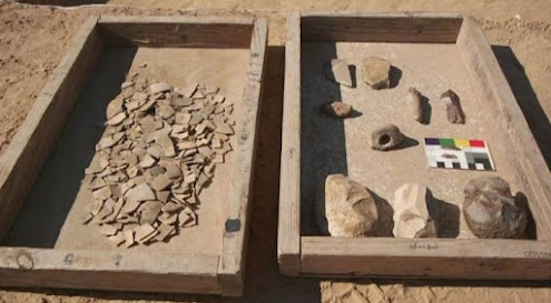 Imagen: Huevos de avestruz de hasta 7.500 años de antigüedad, en una excavación al sur de Israel.