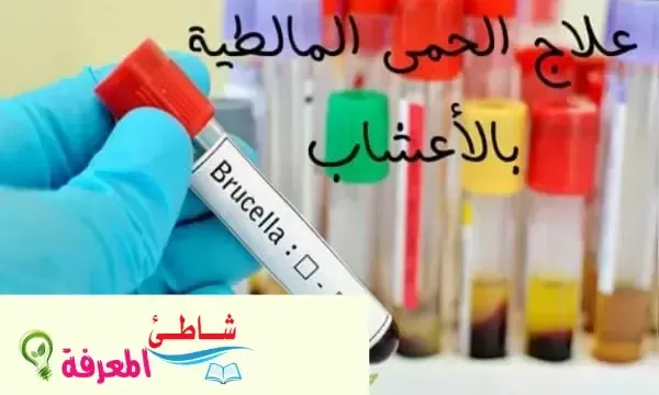 علاج الحمى المالطية