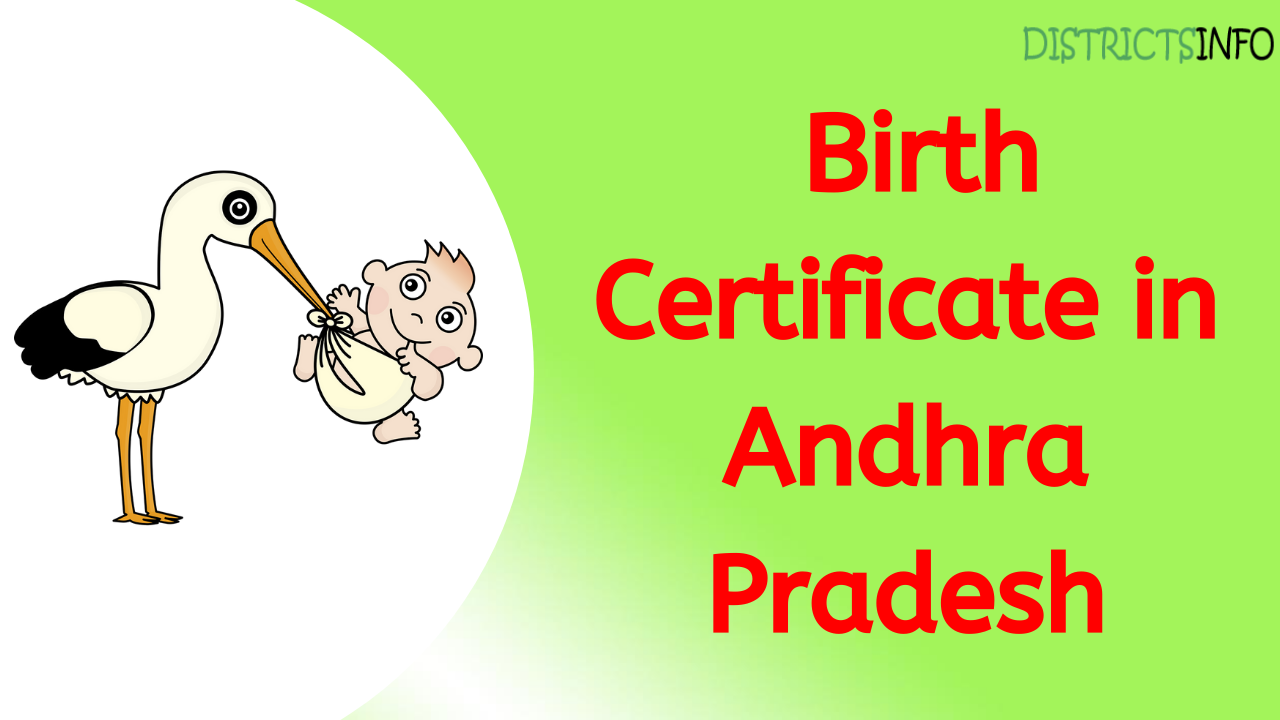 How To Apply Birth Certificate Online Offline In Andhra Pradesh