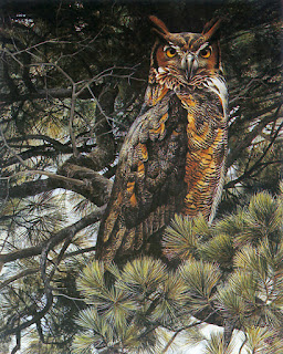 Great Horned Owl (detail)