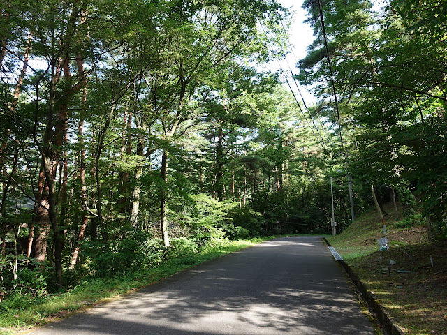 大和ハウス工業ロイヤルシティ大山リゾートの別荘地