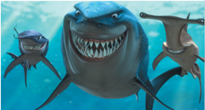 sharks