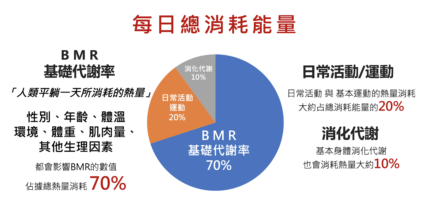 每日總消耗能量 Br 以及基礎代謝率