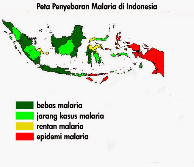  Malaria  di Indonesia  Terapi Sehat Info Kesehatan Medis 