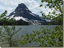 P1040823
