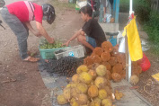 Hutan Adat Membawa Berkah