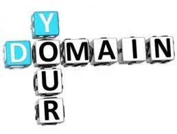 Transfer Domain Name