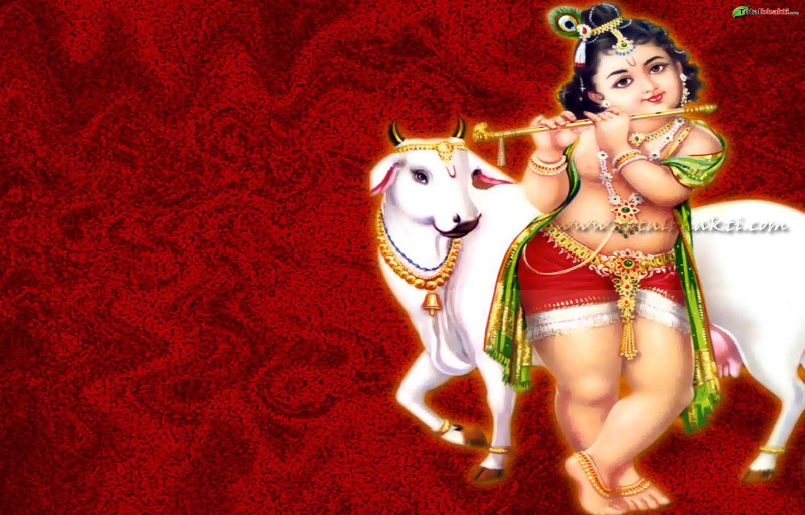 picture collection: krishna god picture wallpaper