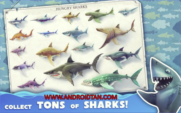 Hungry Shark World Mod Apk