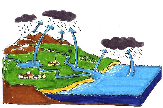 El agua ¿Cuáles son los tres estados del agua?