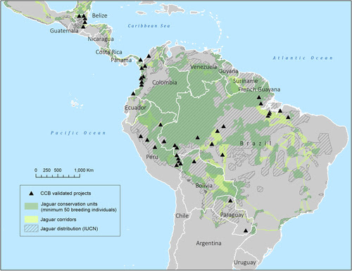 Parques Nacionales del Paraguay: Keystone species play a critical role in  conservation efforts