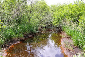 designated trout stream in St. Croix State Park