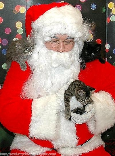 Santa and kittens.