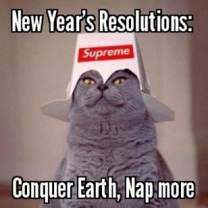 23 Happy New Year Funny Memes and Pictures for FUN