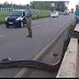 Anaconda on the road - viper crosses the road - anaconda giant intercepts the road