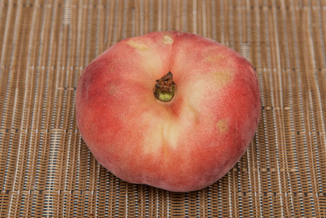 Pêche plate - dessert - fruit - été - pêche