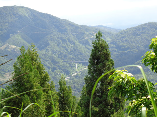 金山大橋