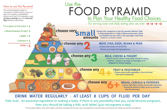 The Definition of Food Pyramid:Food Industry News