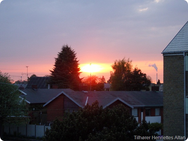SNC19073_resize