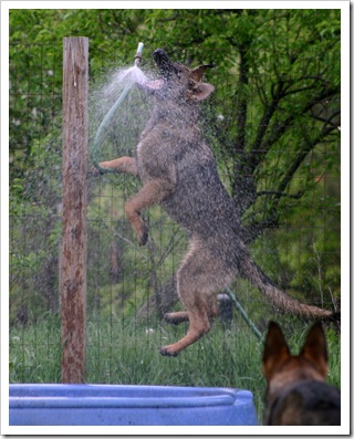 2010.5.15 Jake.Brita-a fun weekend-71