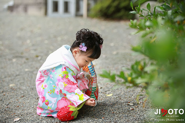 豊中稲荷神社の七五三出張撮影