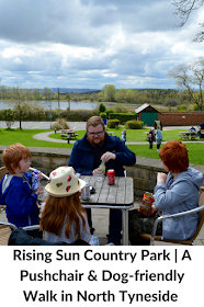 Rising Sun Country Park | A Pushchair & Dog-friendly Walk in North Tyneside