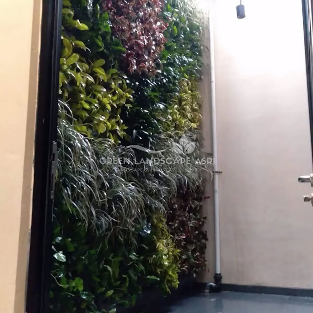 Jasa Pembuatan Vertical Garden Lubuklinggau - Tukang Taman Vertikal Profesional