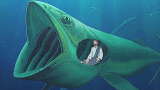   jonah, story of jonah meaning, jonah commentary, jonah bible study, jonah kjv, jonah movie, jonah and the whale summary, jonah and the whale song, jonah and the whale movie