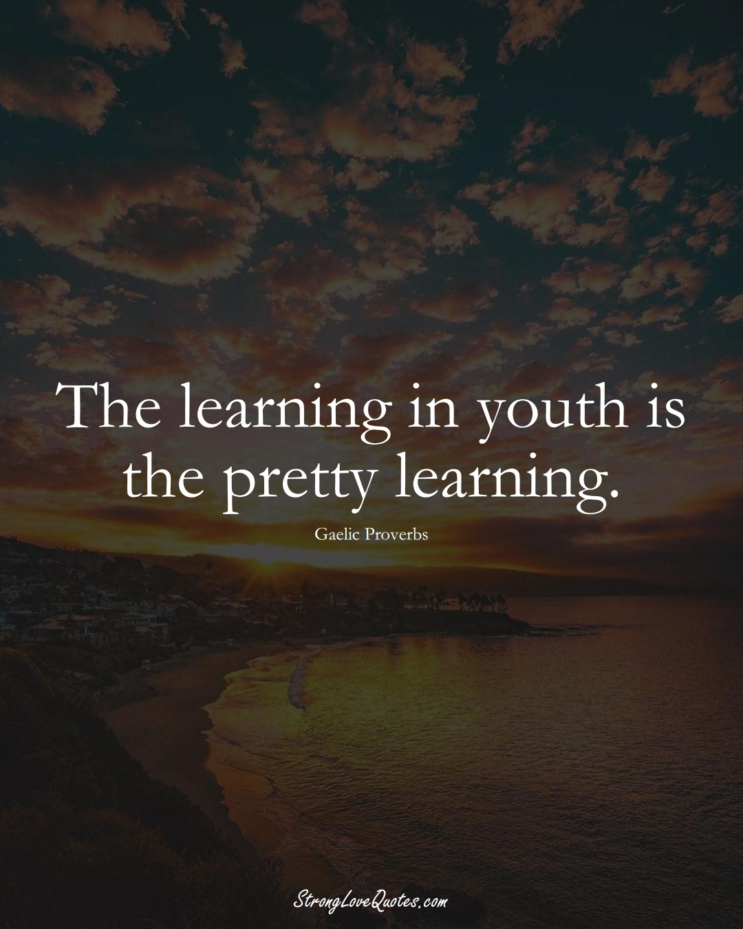The learning in youth is the pretty learning. (Gaelic Sayings);  #aVarietyofCulturesSayings