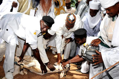 In Pictures: President Buhari observes Eid prayers, slaughters ram