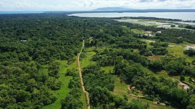 taman-nasional-ujung-kulon