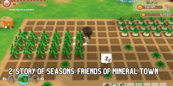 Story of Seasons: Friends of Mineral Town