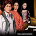 Dehleez Episode 192 31 January 2014 Online