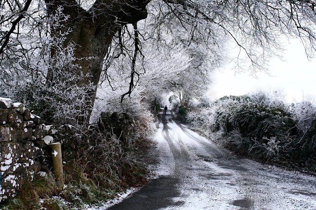 frost and light snow in the countryside 