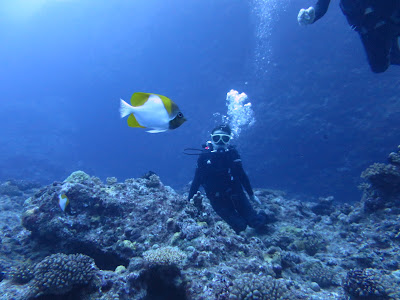 saipan grotto dive